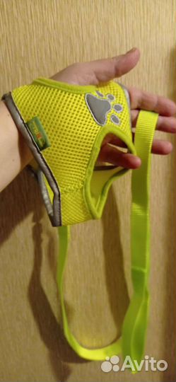 Шлейки, ошейник