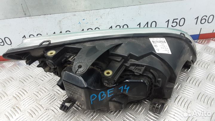 Фара Ford Focus 2 (2004-2011)