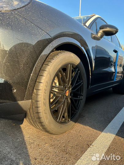 Porsche Cayenne 3.0 AT, 2024, 50 км