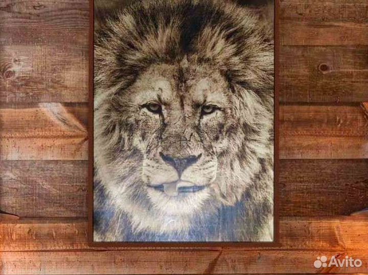 Картина Лев выжигание на дереве