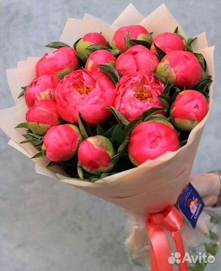 Пионы Букет пионов