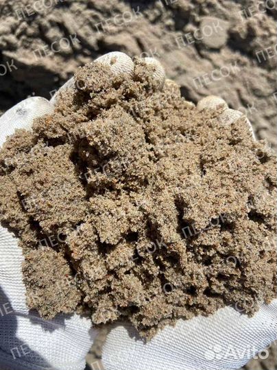 Мытый песок тараканом