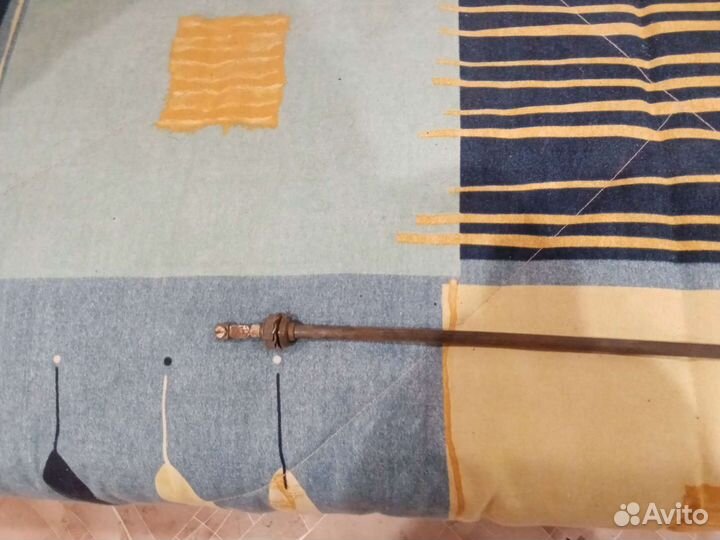 Тэн немецкий