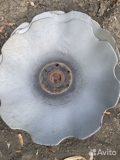 Ромашки бдм