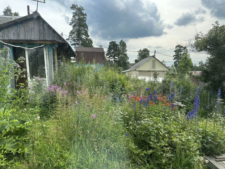 Дача 44,5 м² на участке 4,3 сот.