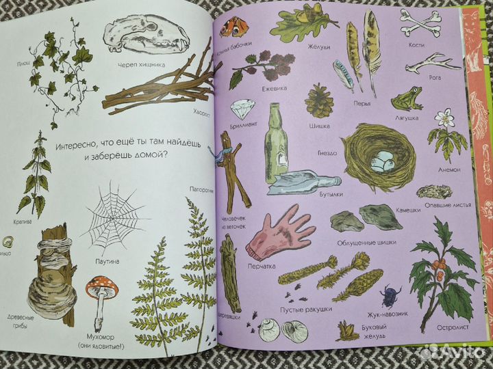 Наш день в лесу. Книга-игра