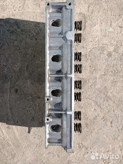 Голова эвотек