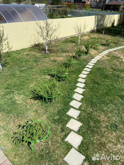 Кустодержатель Найди для смородины и крыжовника