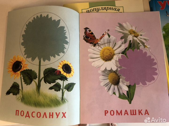 Книги развивающие логопедические