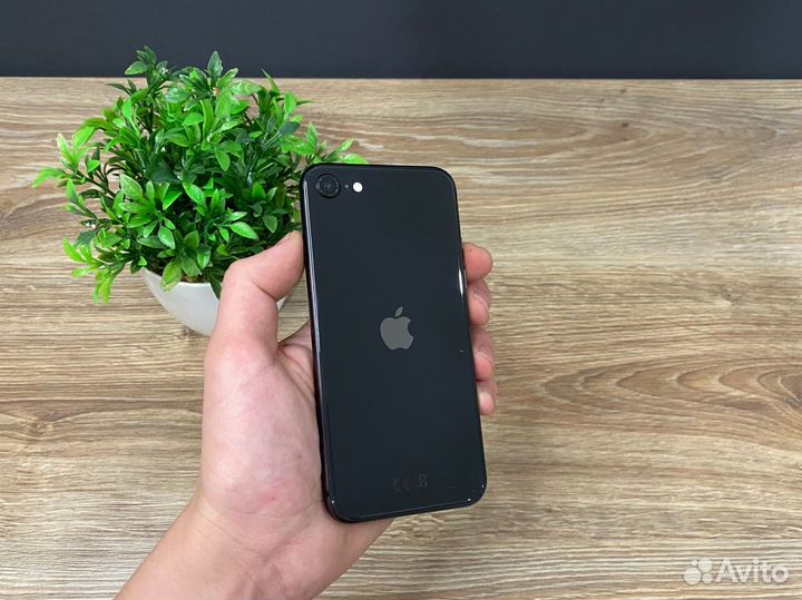 iPhone SE (2020), 64 ГБ