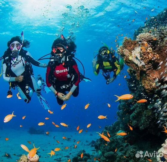 Турпоездка гоа на 9 ночей отель 4*, завтраки