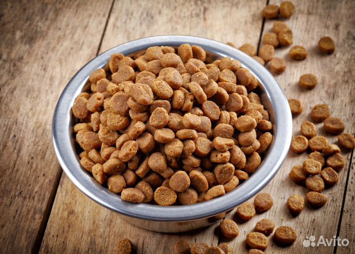 Сухой корм для собак