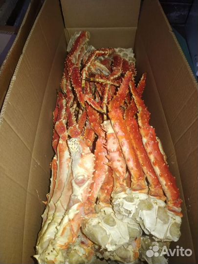 Клешни Камчатского краба