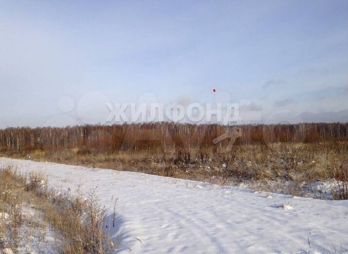 Участок 10 сот. (СНТ, ДНП)