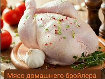 Мясо домашнего бройлера. Первый забой начался