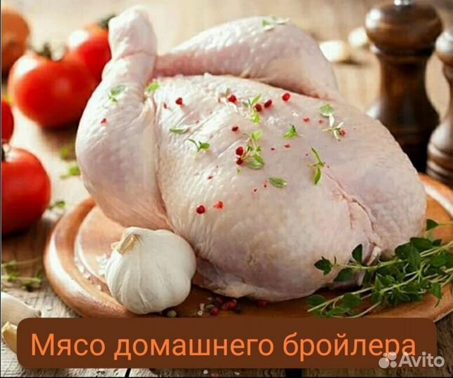 Мясо домашнего бройлера
