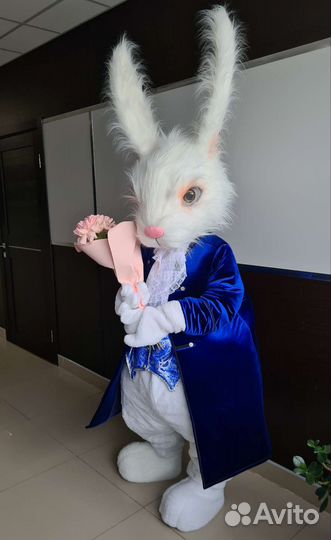 Шоу ростовой куклы кролик Поздравление на праздник