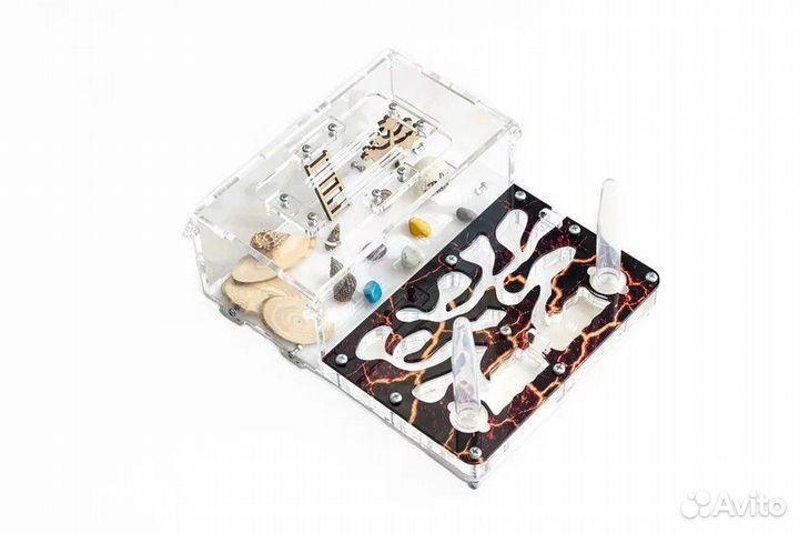 Муравьиная ферма Формикарий Премиум Лава