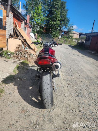 Honda cb600 hornet