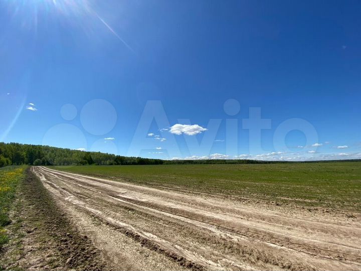 Участок 13 сот. (СНТ, ДНП)