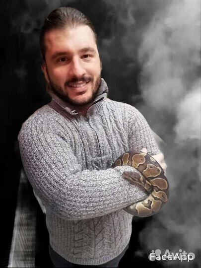 Актер, шоумен