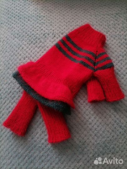 Одежда для собак