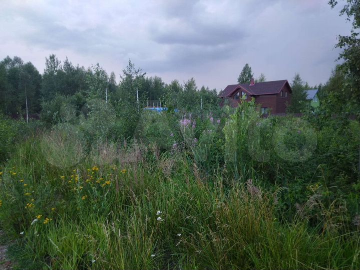 Участок 10 сот. (СНТ, ДНП)