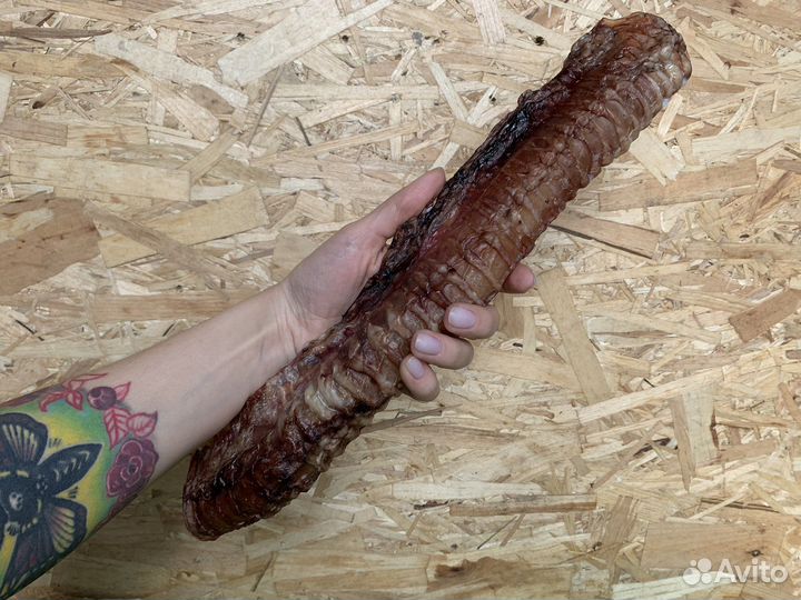 Лакомства (вкусняшки) для собак и кошек