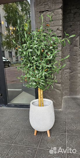 Искусственная Олива