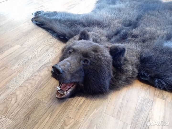 Шкура медведя имитация