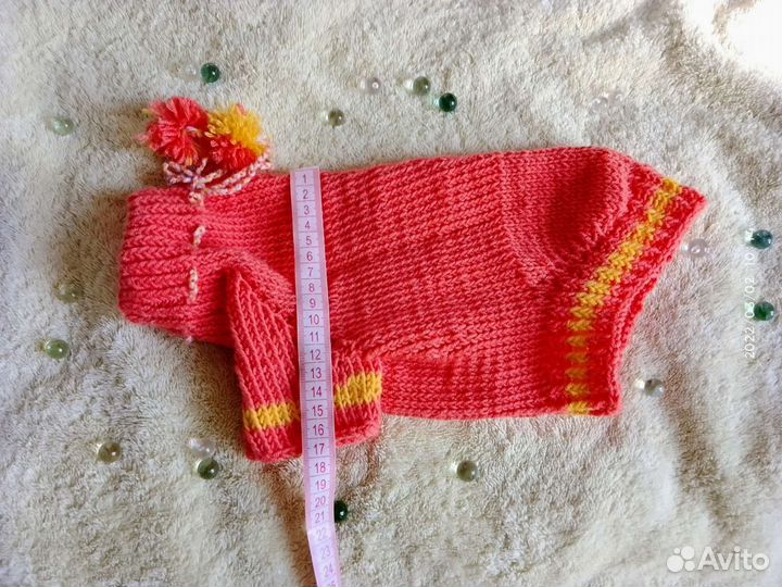 Одежда для собак, той терьер (весна - осень)