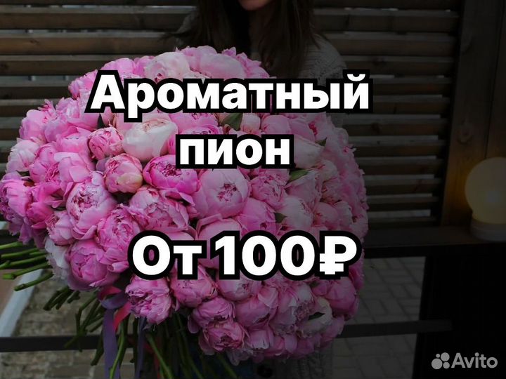 Пионы цветы букеты