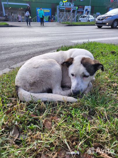 Как ей пережить холода
