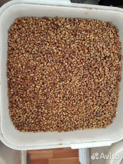 Перга пчелиная