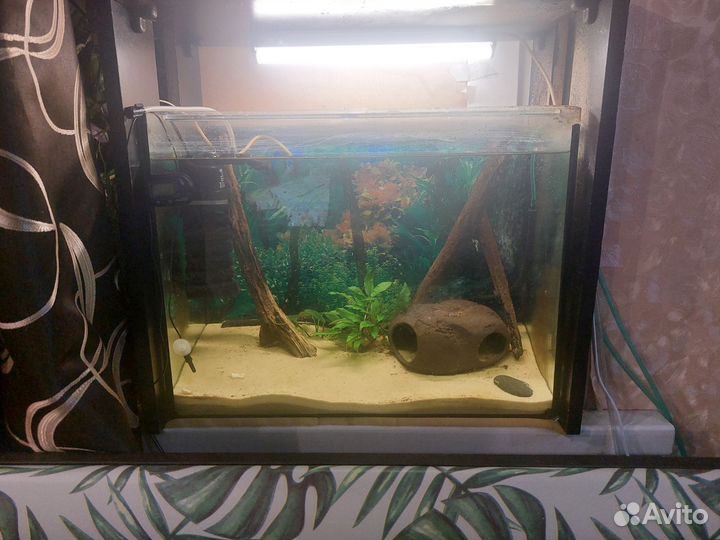Аквариум 40л и 60л
