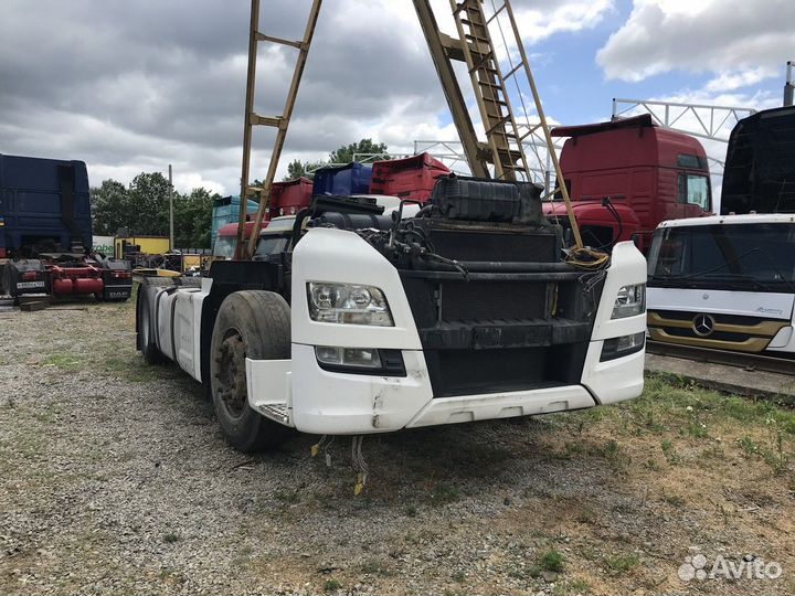 Ноускат Man TGX