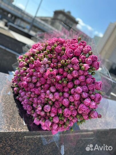 Пионовидные розы