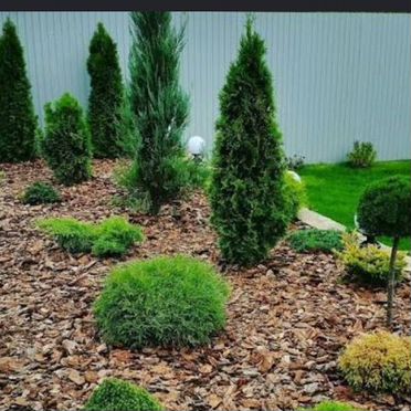 Мульча кора лиственницы, сосна, большоц мешок