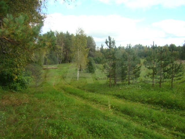 Участок 3 га (СНТ, ДНП)