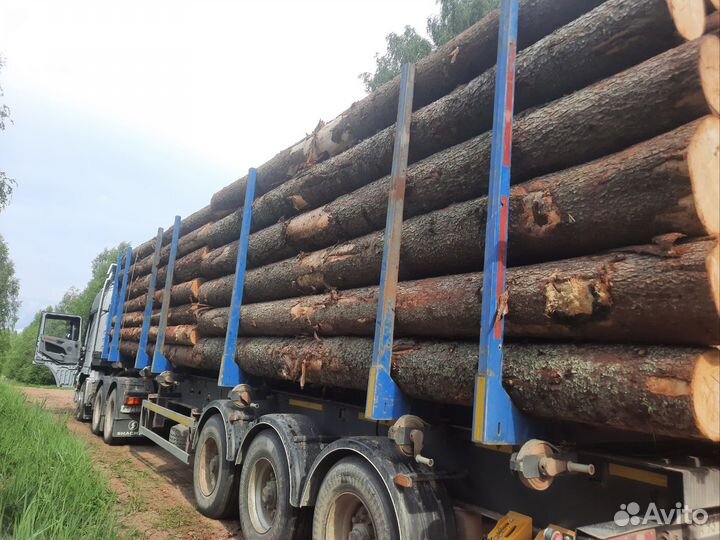 Ёлка кругляк пиловочник