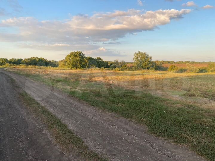 Участок 100 сот. (СНТ, ДНП)