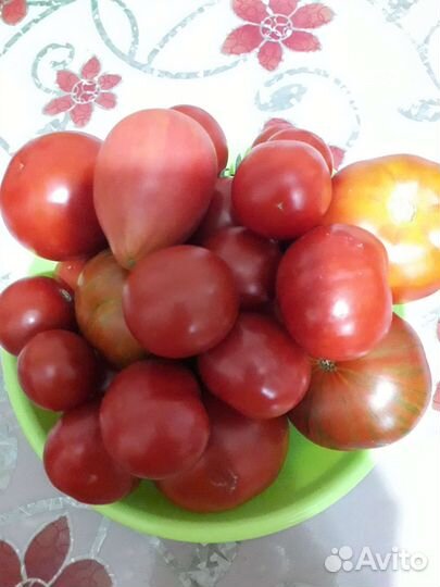 Помидоры свежие домашние