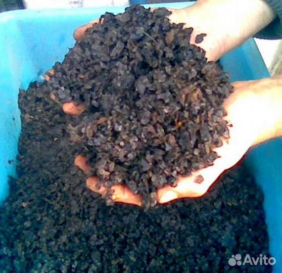 Принимаю мерву