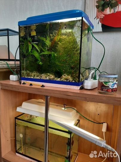 Аквариум с рыбками