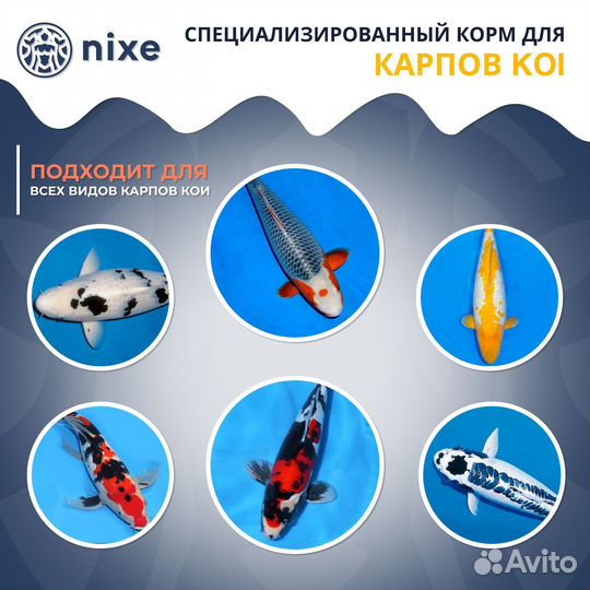 Корм для прудовых рыб и карпов кои nixe KOI granul