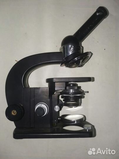 Микроскоп carl zeiss jena