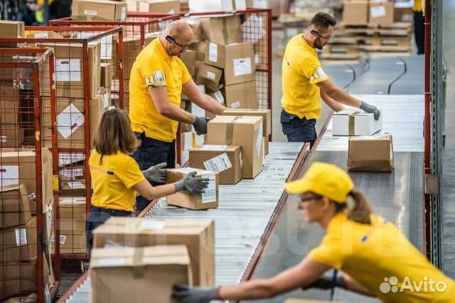 Сборщик пакетов