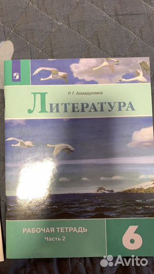 Рабочая тетрадь 6 класс