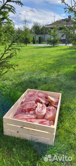 Мясо свинина на кости