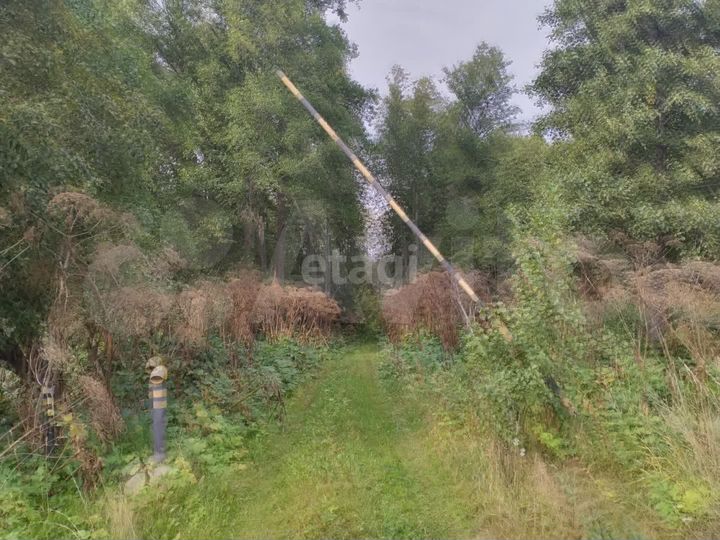 Участок 10 сот. (ИЖС)